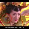 word官网下载免费安装版